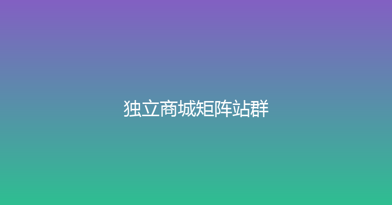 独立商城矩阵站群 封面图