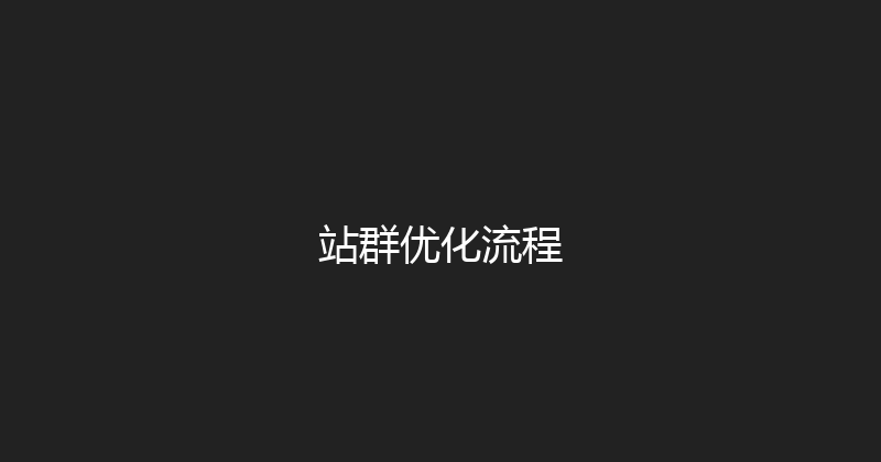 站群优化流程 封面图