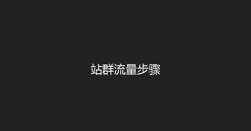 站群流量步骤 封面图