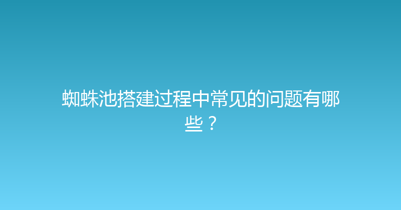 蜘蛛池搭建过程中常见的问题有哪些？ 封面图